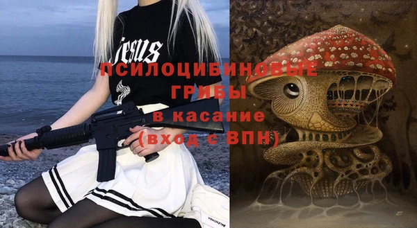 ГАЛЛЮЦИНОГЕННЫЕ ГРИБЫ Арсеньев